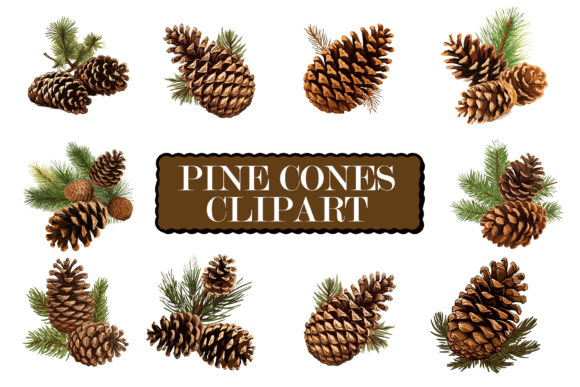 Download Pine Cones ClipArt - Art Collection
