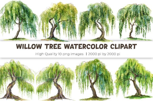 Download Willow Tree Watercolor Clipart - Art Collection