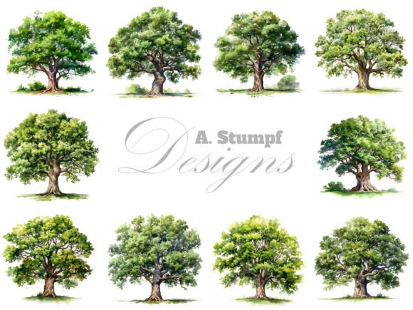 Download Oak Tree Watercolor Clipart Set - Art Collection