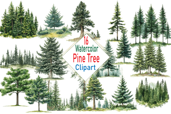Download Watercolor Pine Trees Clipart PNG Bundle - Art Collection