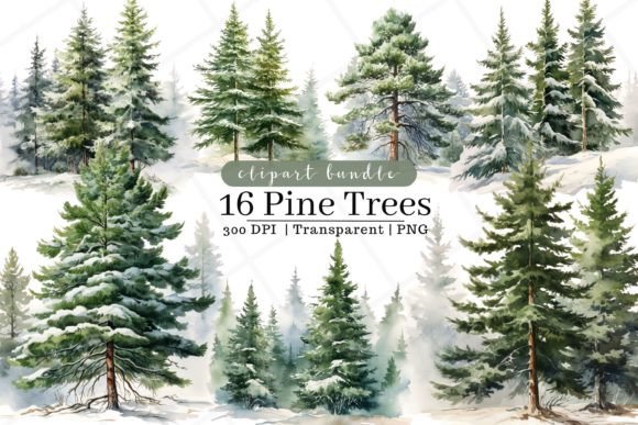Download Pine Trees Watercolor Clipart - Art Collection