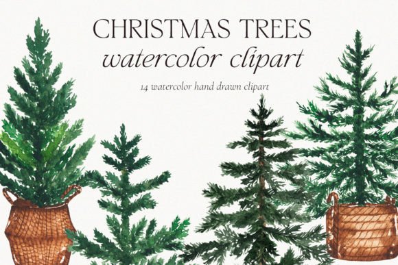 Download Watercolor Christmas Pine Tree Clipart - Art Collection